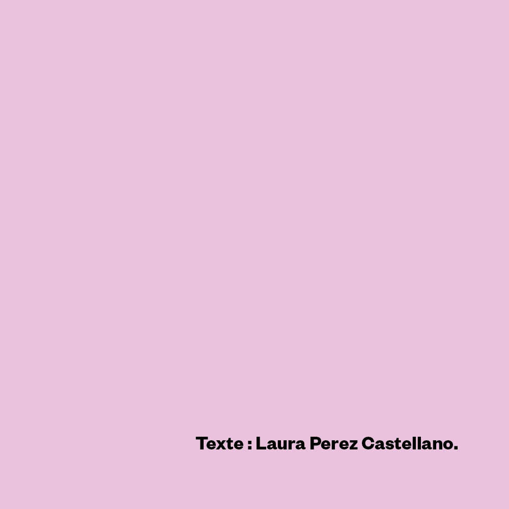 Le travail c'est (extrait), Laura Perez Castellano.